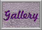 EVJ@Moonlight Sonata Gallery.jpg (10980 bytes)